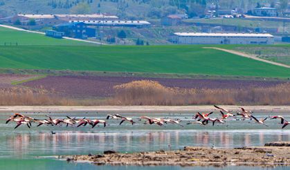 Gölbaşı Renkli Misafirlerini Ağırlıyor