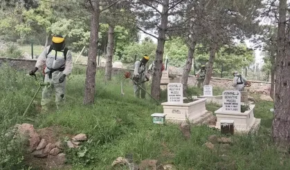 Güdül'de Mezarlık Temizliği