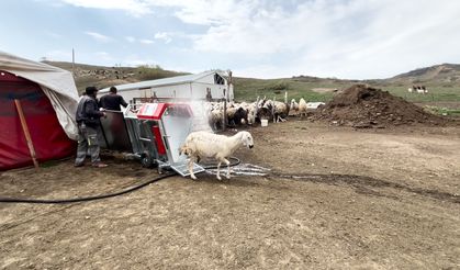 Şereflikoçhisar'da Küçükbaş Hayvanlara Ücretsiz İlaçlama