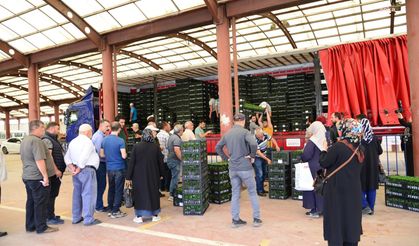 Kahramankazan Belediyesi'nden Çiftçiye Sebze Fidesi Desteği