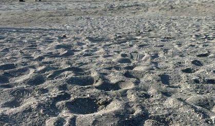 Ankaralı Baba-Oğul Salda Gölü'nde Boğuldu