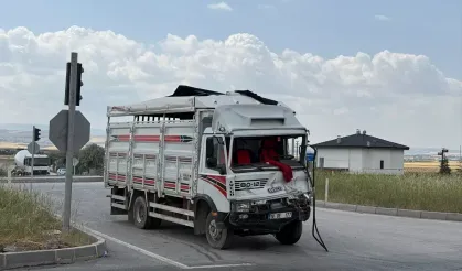 İşçi Servisi İle Canlı Hayvan Yüklü Kamyonet Çarpıştı: 3 Yaralı