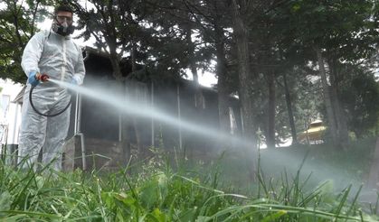 Mamak’ta Haşereyle Mücadelede Aralıksız Sürüyor