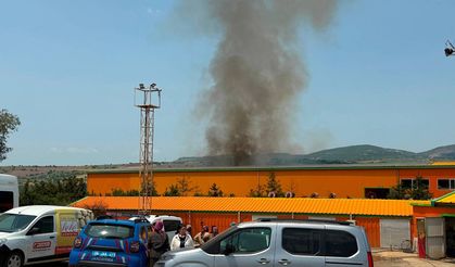 Yumurta Tesisinde Yangın: 150 Bin Tavuk Öldü