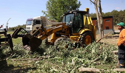 Çankaya'nın Parklarında Yaz Mesaisi