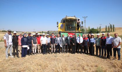 Akyurt'ta Hasat Bayramı