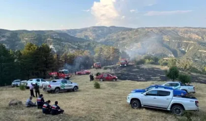 Beypazarı'nda Tarım Arazisinde Yangın