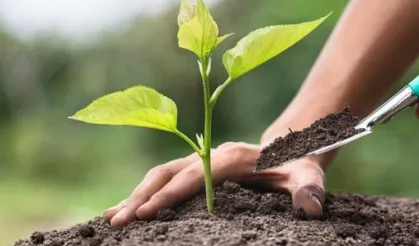 Ankaragücü Taraftarından Bursa’ya 10 Bin Fidan