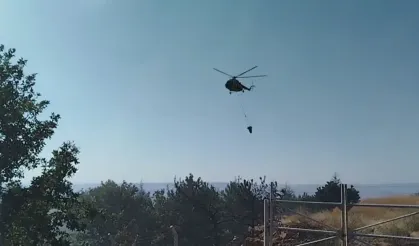 Bala'da Orman Yangını Çıktı