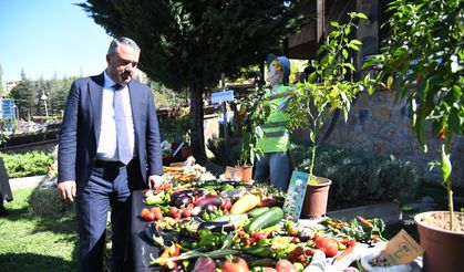 Pursaklar'da Yerli Tohum Hasadı