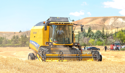 Sincan'da Çiftçiye Buğday Tohumu Desteği