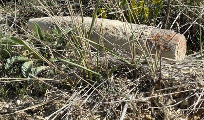 Ayaş'ta Mantar Ararken Top Mermisi Buldu, 20 Metre Taşıdı
