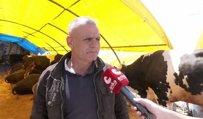Keçiören'de Kurbanlık Satışı Başladı: Fiyatlar Ne Oldu?