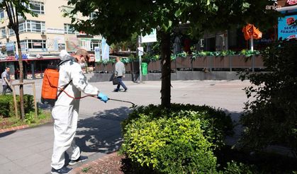 Çankaya'da Yaz Mesaisi Başladı