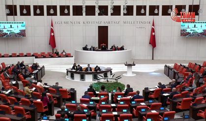 TBMM'de 'Stand-Up' Tartışması: Deniz Göktaş'ın Gösterisi AK Parti ile CHP Arasında Gerginlik Yarattı