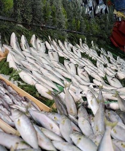 Denizlerde Av Yasağı Kalktı, Balıkçılar Ağ Attı