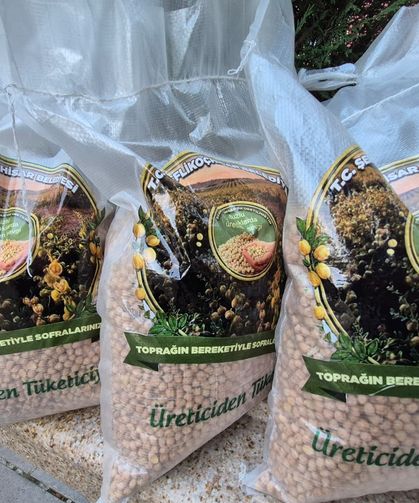 Şereflikoçhisar'da Belediye Tarlasından Ailelerin Sofrasına Nohut