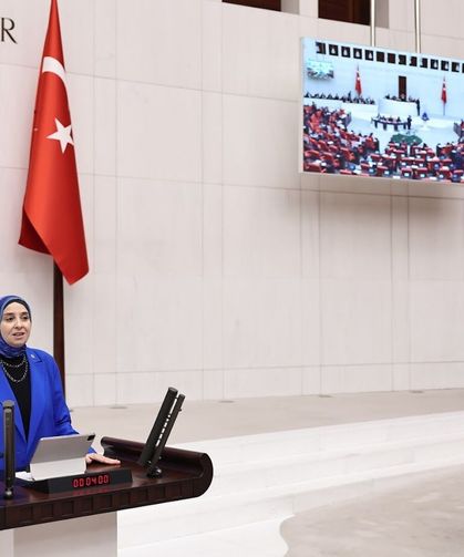 "Staja Geldikleri Meclis’te Kız Çocukları Nasıl Tacize Uğradı?