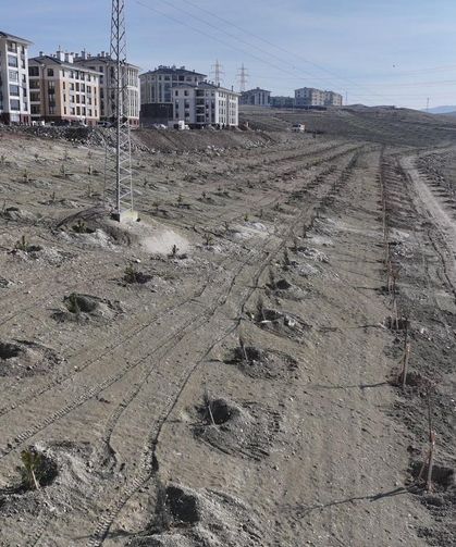 Sincan Saraycık Mahallesi Yeşilleniyor