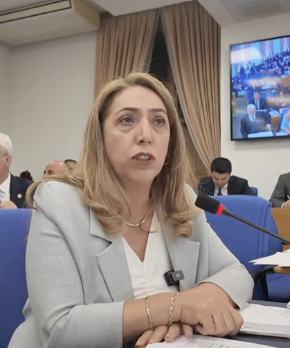 DEM Parti'de TBMM Danışmanının Ölümü Sonrası Kriz Büyüyor