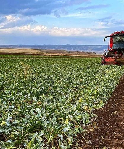 Çiftçiden Acil Önlem Çağrısı