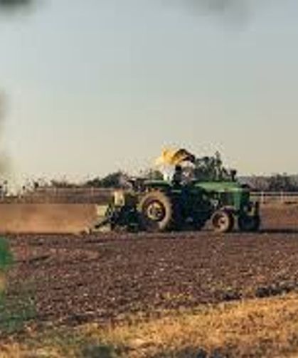 Maaşlı Çiftçilik Dönemi Başlıyor: Bekara 2, Evliye 3 Asgari Ücret Desteği
