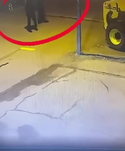 Diyarbakır'da Silahlı Suç Örgütü Çökertildi: 40 Gözaltı
