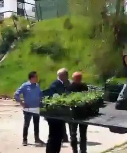 Kızılcahamam'da Üreticiye Çilek Fidesi Hibesi