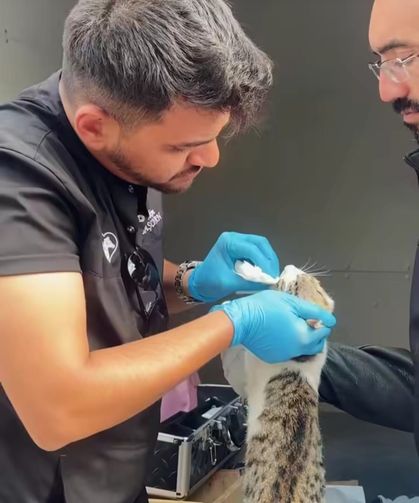 Sincan'da Sahipsiz Hayvanlar İçin Seferberlik