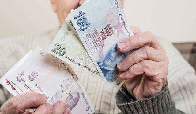 Türkiye Emekliler Derneği'nden TÜİK'e Tepki: Enflasyon Rakamları Gerçek Dışı, Suç İşleniyor