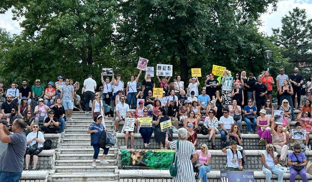 Hayvan Hakları İçin Ankara'da Protesto Gösterisi