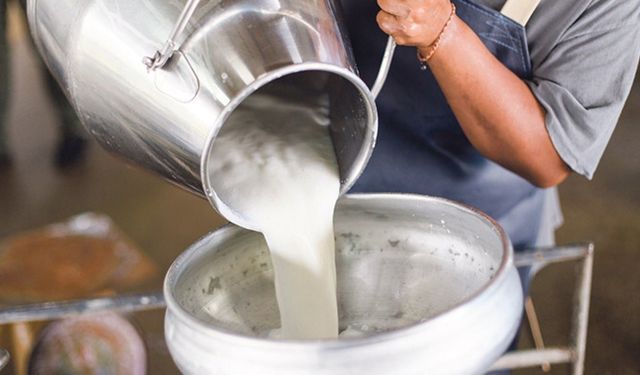 Süt Sektöründe Yeni Kriz Kapıda: Acil Önlem Çağrısı