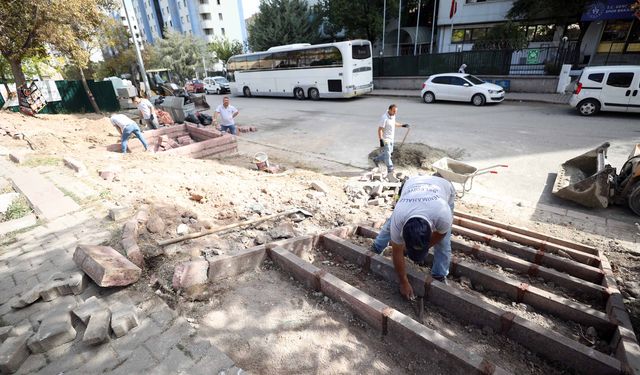 Yenimahalle’nin Parklarına Detaylı Bakım