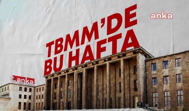 TBMM'de Bu Hafta... Ateşli Silahlar ve Yetkisiz Çakar Kullanımı Görüşülecek