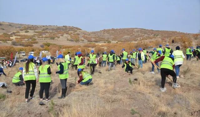 Kahramankazan'da Ağaçlandırma Etkinliği