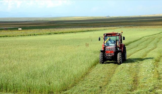 Çiftçi Tarlayı Terk Ediyor: İstihdamdaki Tablo Ortaya Çıktı