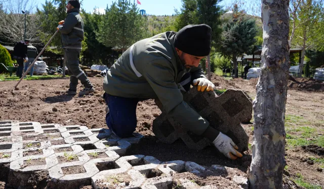 Ankara Kartaltepe Mesire Alanı Yaza Hazırlanıyor