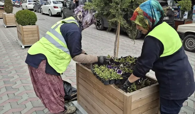 Beypazarı'nda Caddeler Çiçeklerle Renklendi