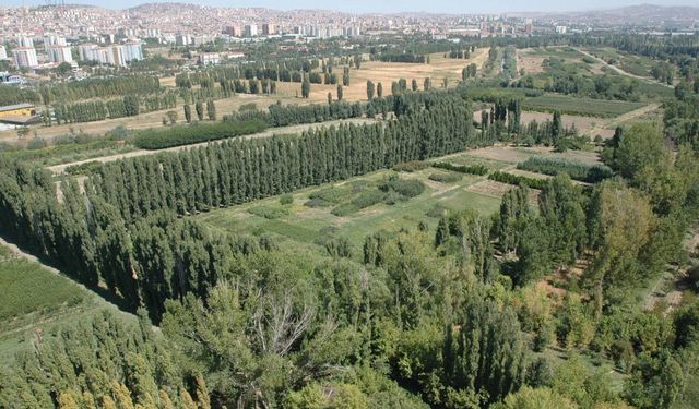AOÇ’yi Yıllardır Parsel Parsel Kemiriyorlar: Adını da Sattılar