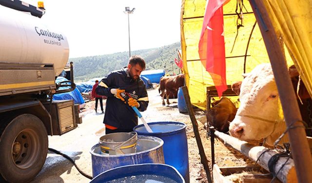 Çankaya Kurban Bayramına Hazır