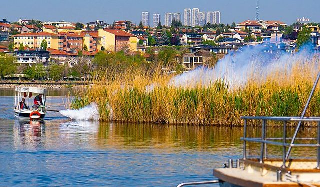 Gölbaşı Belediyesi’nden Mogan Gölü’nde Sivrisinek ve Kronomidlere Karşı İlaçlama Çalışması