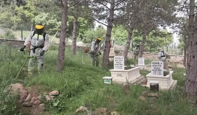 Güdül'de Mezarlık Temizliği