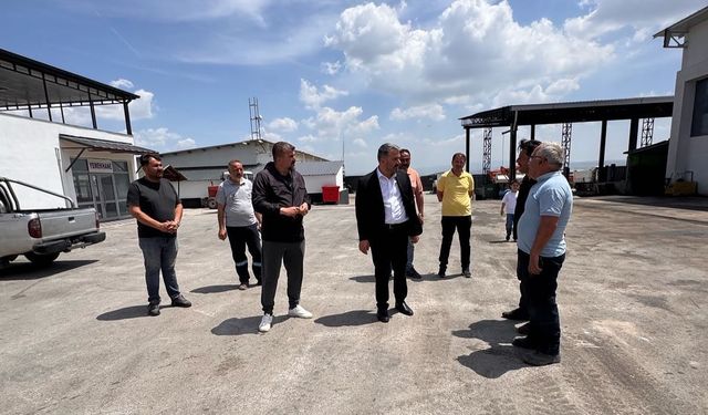 Pursaklar'da Kurban Bayramı Hazırlıkları Sürüyor