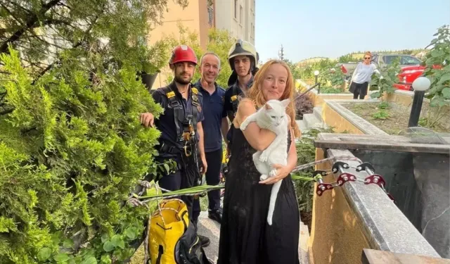 Çankaya'da Mahsur Kedi Kurtarıldı