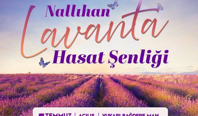 Ankara Büyükşehir Belediyesi'nden Lavanta Hasat Şenliği