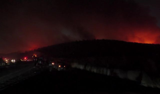 Buca’da Orman Yangını: 2 Kişi Gözaltında