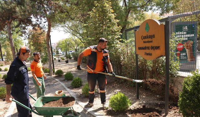Çankaya Belediyesi Bahriye Üçok Parkı’nı Yeniledi