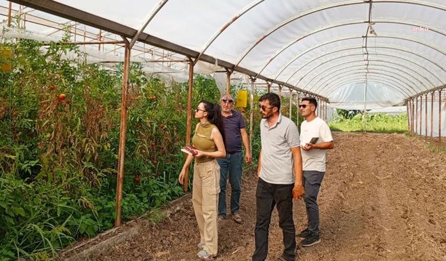 Çankaya Belediyesi Organik Pazarları Denetliyor