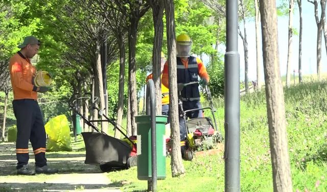 Çankaya Belediyesi'nden Parklarda Çim Biçme Mesaisi
