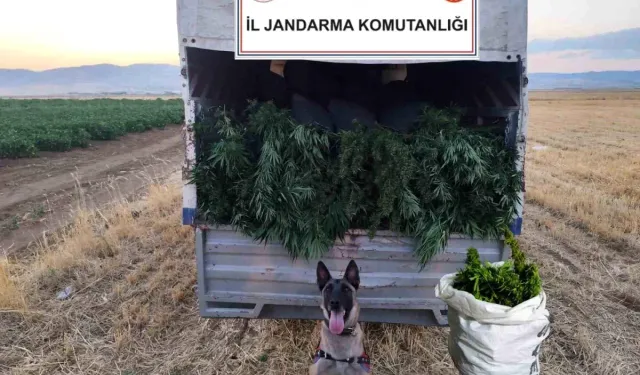 Ankara'da Uyuşturucu Operasyonu
